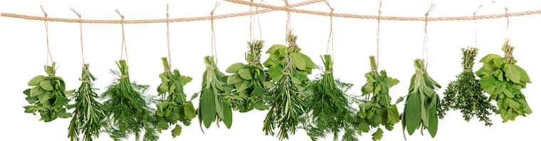 Bild zu Schlafen mit Kräuter – Der Einfluss natürlicher Kräuter auf unseren Schlaf